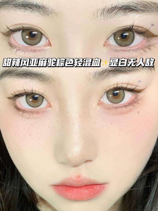 Kendo brown 肯豆-曲奇奶咖棕<含硅水凝胶>年抛型 商品图0