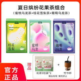 【宜昌助农馆】夏日缤纷果茶组合 45g/盒 买一送三