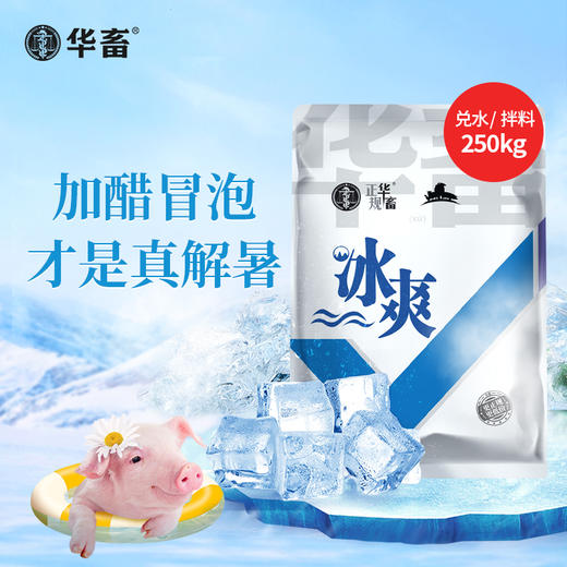 华畜冰爽VC 加醋冒泡才是真解暑 禽畜孕畜通用 商品图6