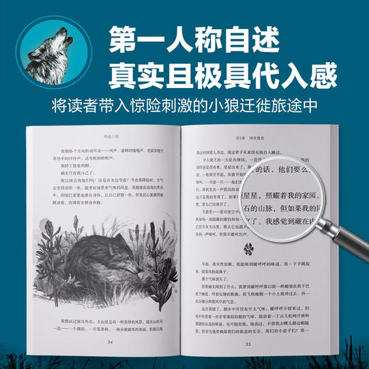 奇迹小狼 商品图2