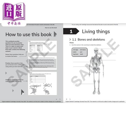 NEW Cambridge Primary Science Workbook 4剑桥小学科学练习册四年级 商品图2