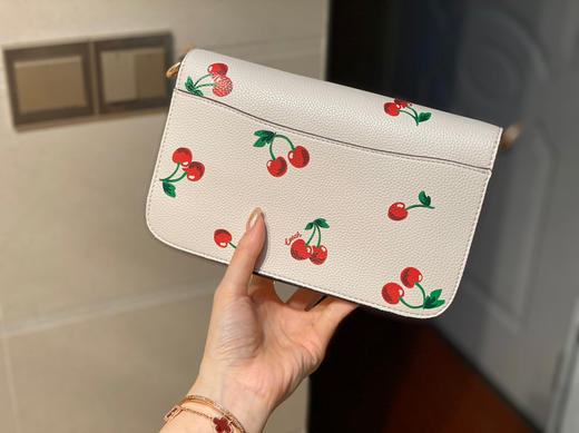 蔻家腋下包 Brynn-樱桃🍒 商品图7