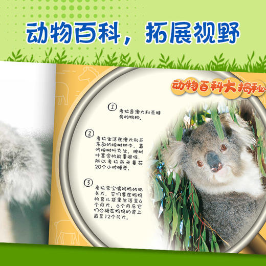 动物成长故事英语进阶有声读物第1级上 商品图3