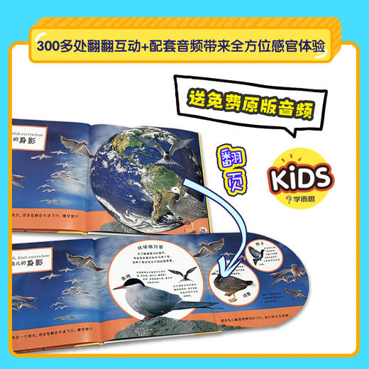 【全套】2-6岁适用  共12册 自然的奥秘+神奇的生命  DK小眼睛大世界系列   幼儿科普启蒙翻翻书 商品图3