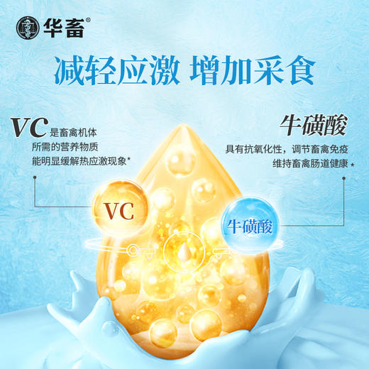 华畜冰爽VC 加醋冒泡才是真解暑 禽畜孕畜通用 商品图3