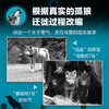 奇迹小狼 商品缩略图1