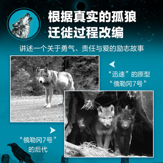 奇迹小狼 商品图1