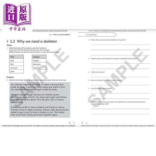 NEW Cambridge Primary Science Workbook 4剑桥小学科学练习册四年级 商品图4