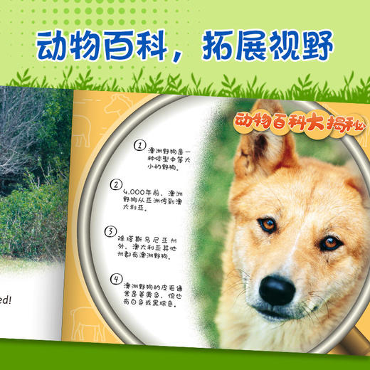 动物成长故事英语进阶有声读物第4级上 商品图3