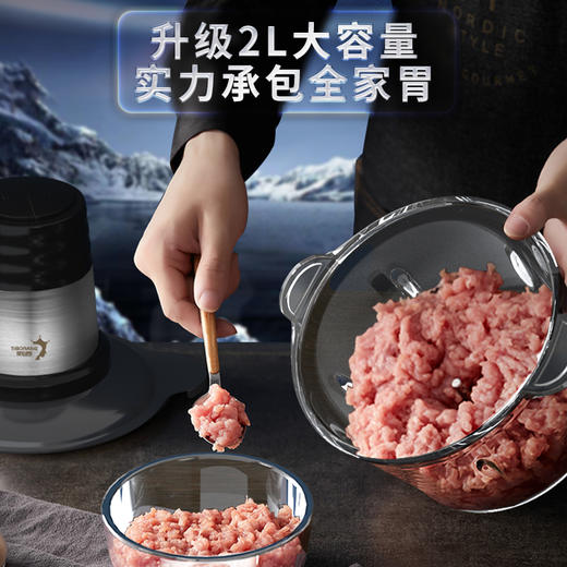 帝伯朗绞肉机  Astar 星途系列多功能家用绞肉机 商品图1