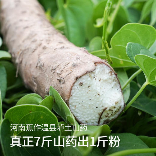 【非遗怀山药】张宝山古法山药粉 山药世家 好食材养好胃 袋装山药粉 方便携带 益生菌山药粉 商品图2