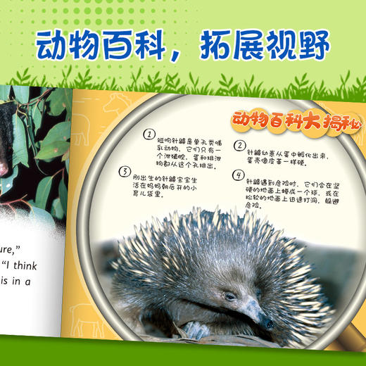 动物成长故事英语进阶有声读物第5级上 商品图3