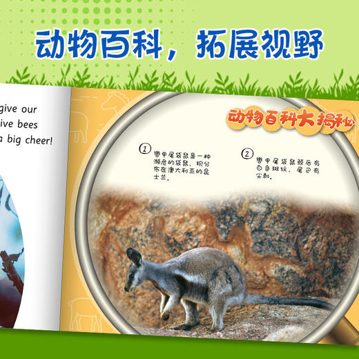 动物成长故事英语进阶有声读物第2级下 商品图3