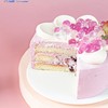 糕小生夏日新品「多肉葡萄啵啵蛋糕」小红书超火爆·夹心会爆浆 商品缩略图1