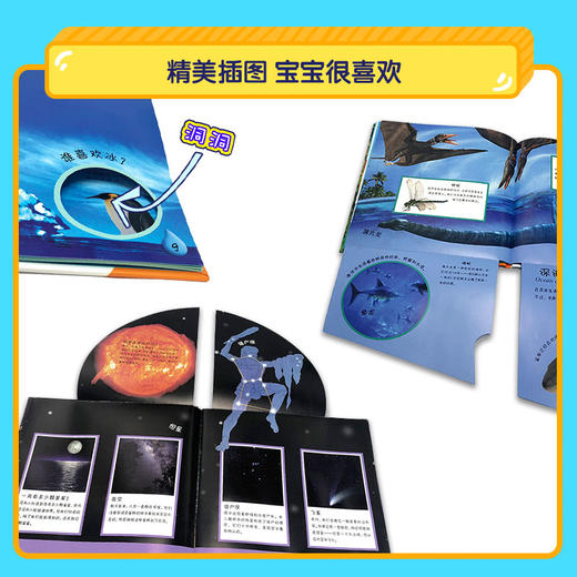 【全套】2-6岁适用  共12册 自然的奥秘+神奇的生命  DK小眼睛大世界系列   幼儿科普启蒙翻翻书 商品图4