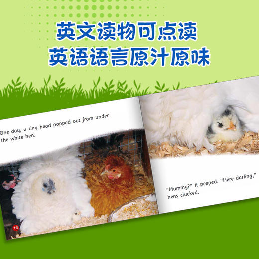 动物成长故事英语进阶有声读物第4级下 商品图2