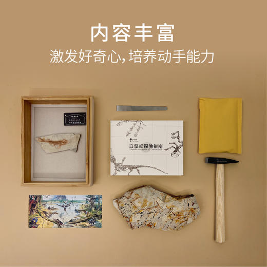 科普文创 | 绝版化石盲盒·白垩纪探险指南 商品图1