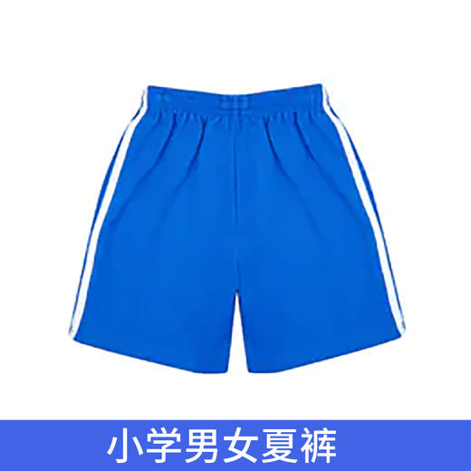 深圳中小学校服夏运短裤（男女） 商品图1