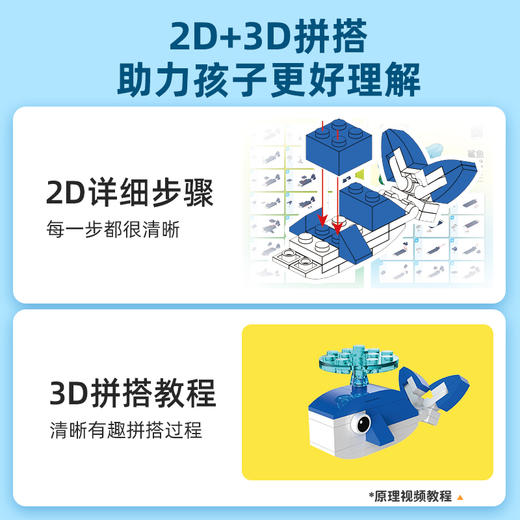【传统】【5盒装】动物科普套装（草原、雨林、海洋、飞禽） 商品图3