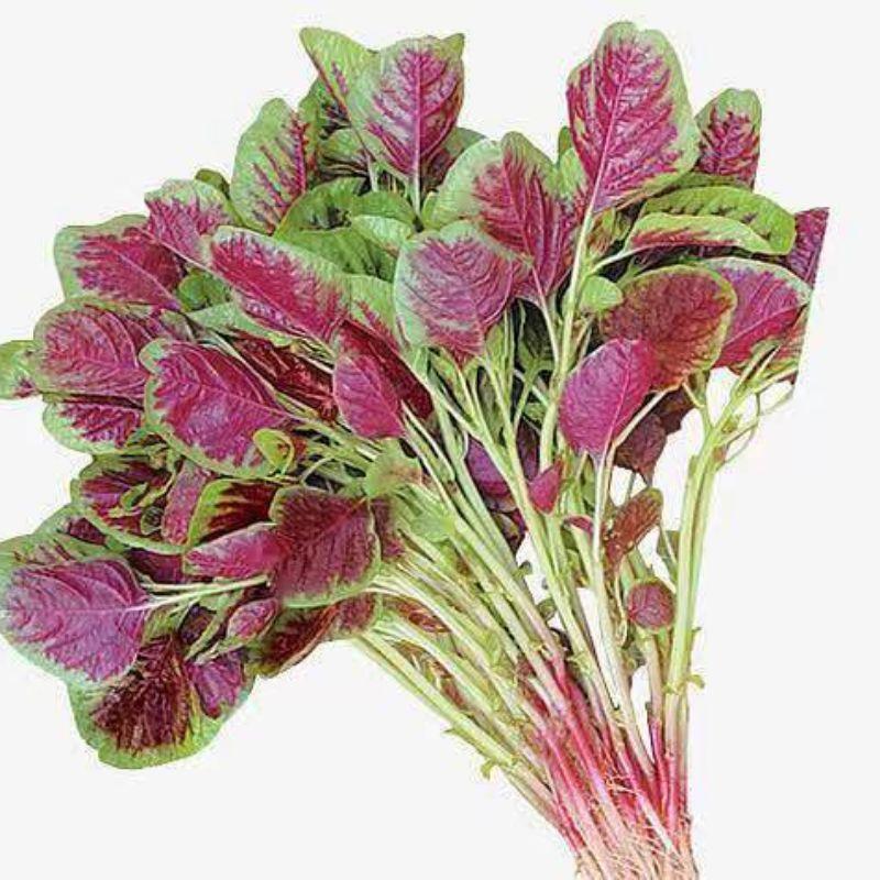 “阿德童年”红米苋菜（300g）