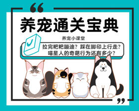 拉完粑粑蹦迪？踩在脚印上行走？喵星人的奇葩行为还有多少？