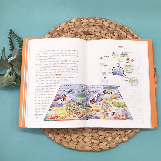 《带上思维导图读绘本》和孩子一起打开脑洞！ 商品图5