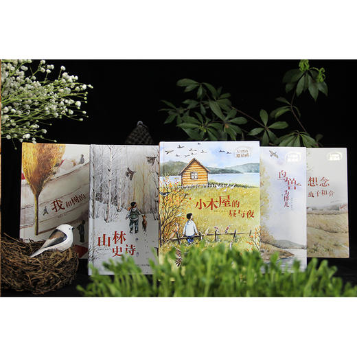 大自然的邀请函（精装套装全5册 山林史诗+小木屋的昼与夜+我和树的一年+想念虫子和草+鸟兽为伴儿） 商品图3