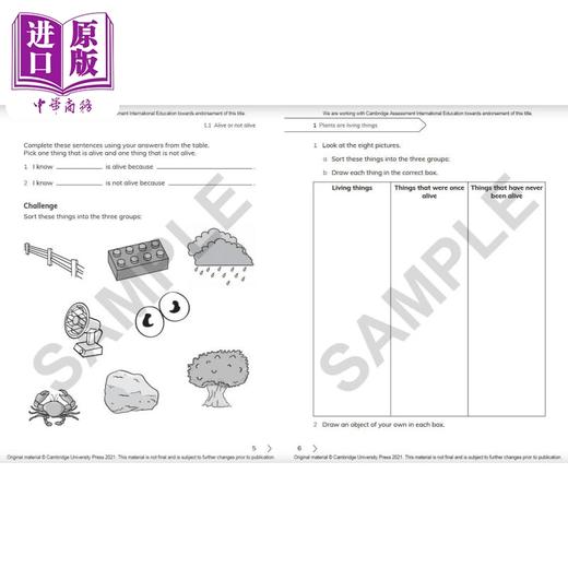 NEW Cambridge Primary Science Workbook 3剑桥小学科学练习册三年级 商品图3