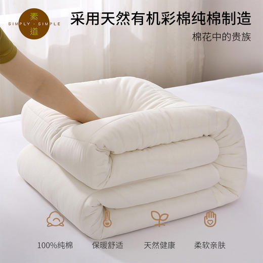 素道天然有机彩棉 新款浣纱纯棉厚被 加厚保暖冬被 秋冬保暖被褥 商品图2