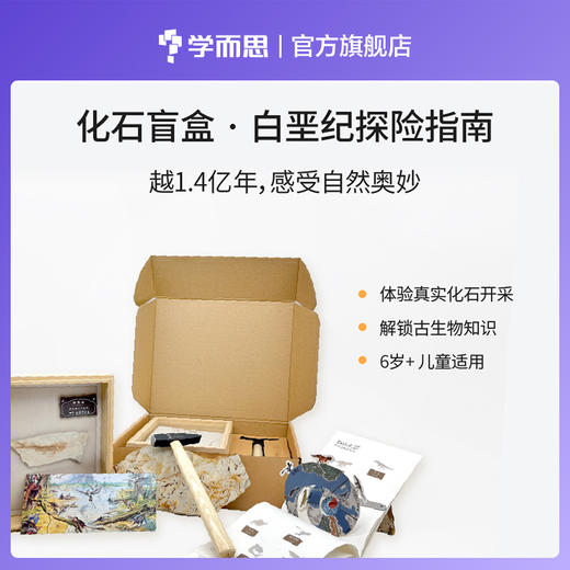 科普文创 | 绝版化石盲盒·白垩纪探险指南 商品图0
