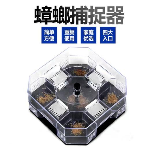 【买就送诱饵！环保无毒更放心】蟑螂克星，蟑螂诱捕器，只杀螂不伤人，蟑螂药屋捕蟑灭杀蟑螂器，厨房室内一扫尽蟑螂药胶饵剂 商品图4
