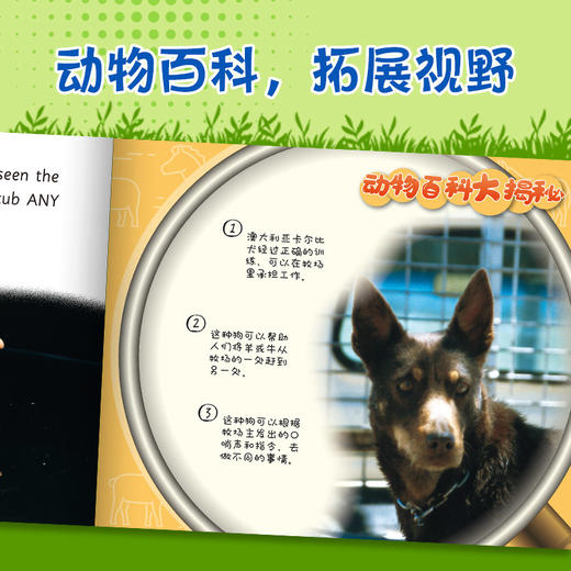 动物成长故事英语进阶有声读物第4级下 商品图3