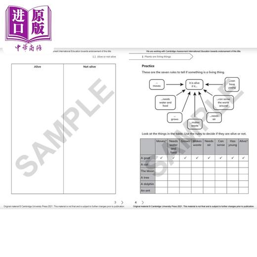 NEW Cambridge Primary Science Workbook 3剑桥小学科学练习册三年级 商品图2