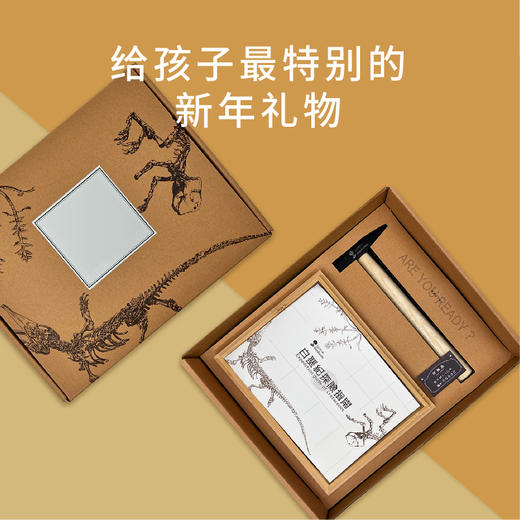 科普文创 | 绝版化石盲盒·白垩纪探险指南 商品图5