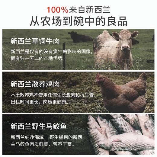 新西兰进口本牧EM boneve牛肉鸡肉马鲛鱼无谷全猫粮 商品图1