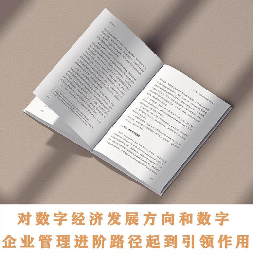 WEB3.0 赋能数字经济新时代 杜雨 著 经济 商品图3