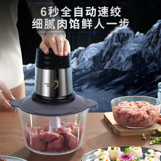 帝伯朗绞肉机  Astar 星途系列多功能家用绞肉机 商品图2