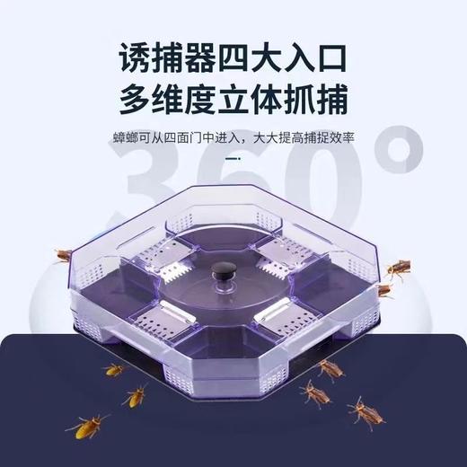 【买就送诱饵！环保无毒更放心】蟑螂克星，蟑螂诱捕器，只杀螂不伤人，蟑螂药屋捕蟑灭杀蟑螂器，厨房室内一扫尽蟑螂药胶饵剂 商品图1