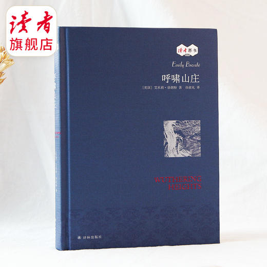 《呼啸山庄》艾米莉·勃朗特/著  孙致礼/译 【读者荐书38】 商品图0