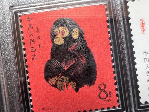 评级版《一轮十二生肖套票》 首轮十二生肖套票 商品图3