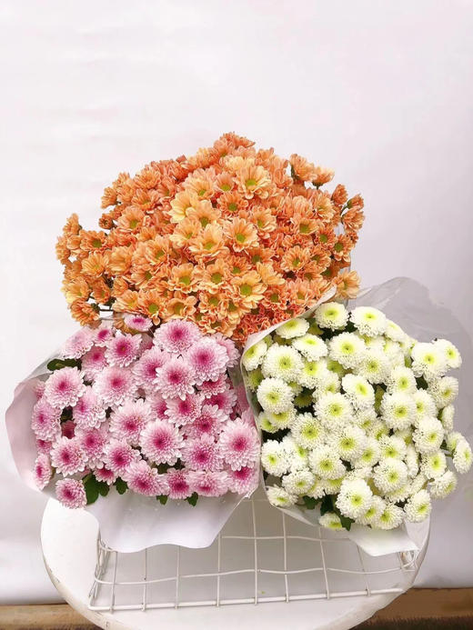 小菊（5枝）颜色随机先到先得 商品图1