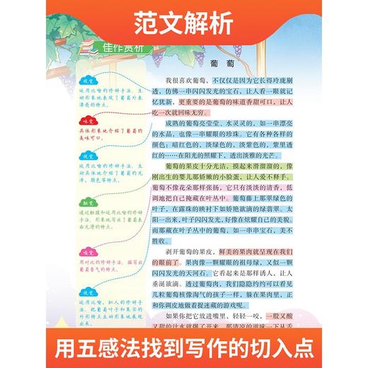 (仓发) 同步作文六年级上册 下册通用 五感法写作文  素材积累写作方法技巧讲解小学生满分作文书（全一册)/江西人民出版社/李春雷/9787210129035 商品图4