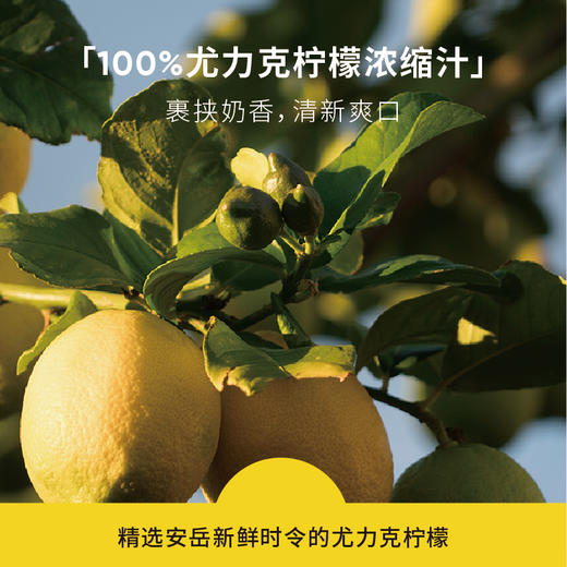 【Miok缪可奶啤】6罐装300ml乳酸菌风味饮品网红低度酸奶饮料酒包邮 商品图3