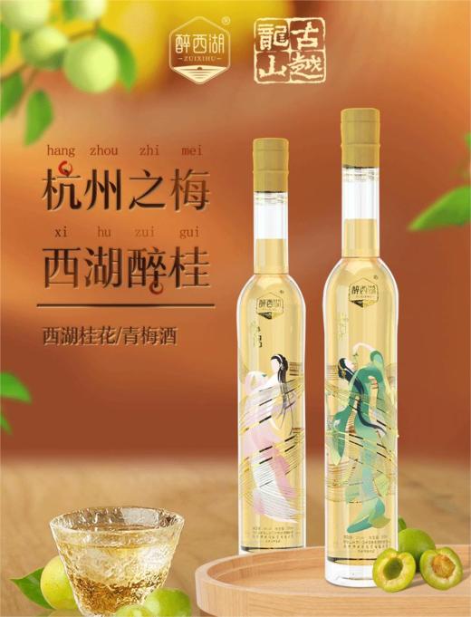 醉西湖 闺蜜果酒系列 青梅酒+桂花酒 商品图0