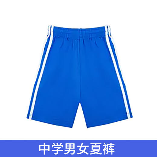 深圳中小学校服夏运短裤（男女） 商品图2