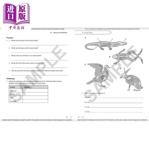 NEW Cambridge Primary Science Workbook 4剑桥小学科学练习册四年级 商品图3