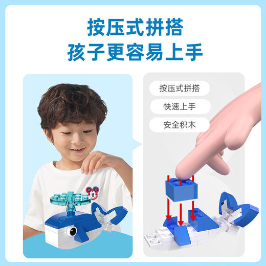 【传统】【5盒装】动物科普套装（草原、雨林、海洋、飞禽） 商品图2