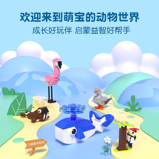 【传统】【5盒装】动物科普套装（草原、雨林、海洋、飞禽） 商品图4