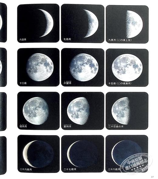 【中商原版】享受星空的眺望与拍摄 进口艺术 日文原版 星空の楽しみかた 眺める 撮る 商品图7