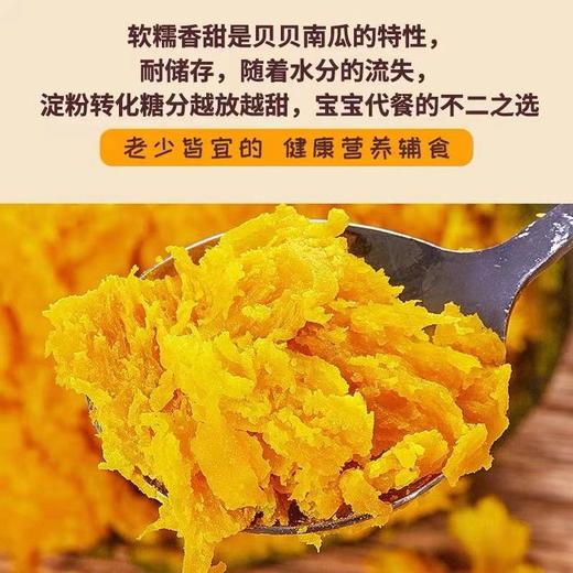 山东寿光正宗贝贝南瓜板栗味3/5斤 商品图3